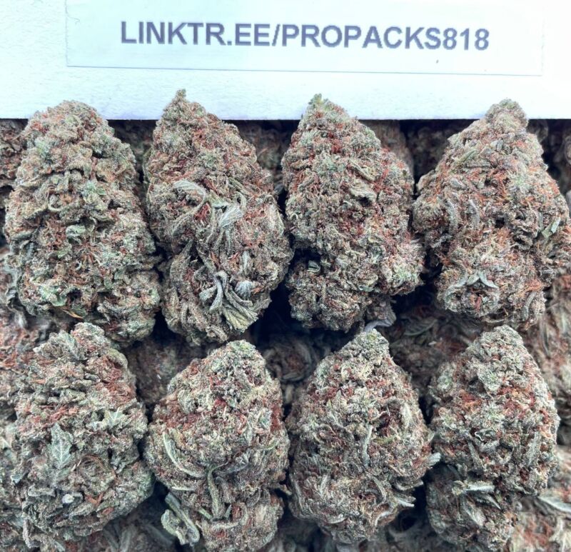 Red Velvet Runtz 🎁 #H328C 🎩