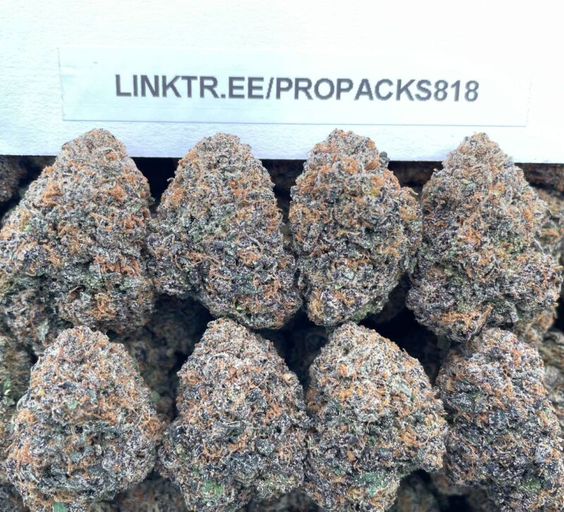 Tropical Zlushie Gelato 🥤 #V590C 🍧