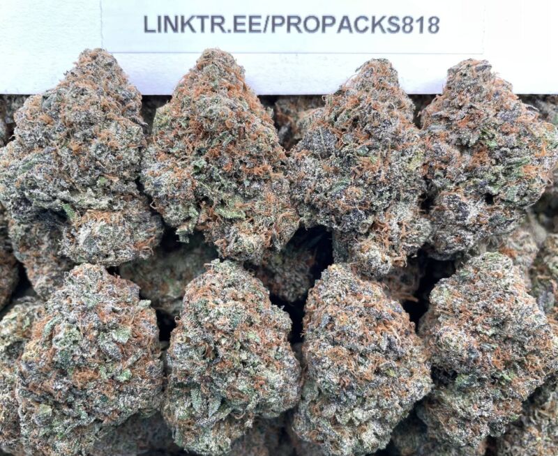 White Cherry Gelato 🍒 #V506B 🍨