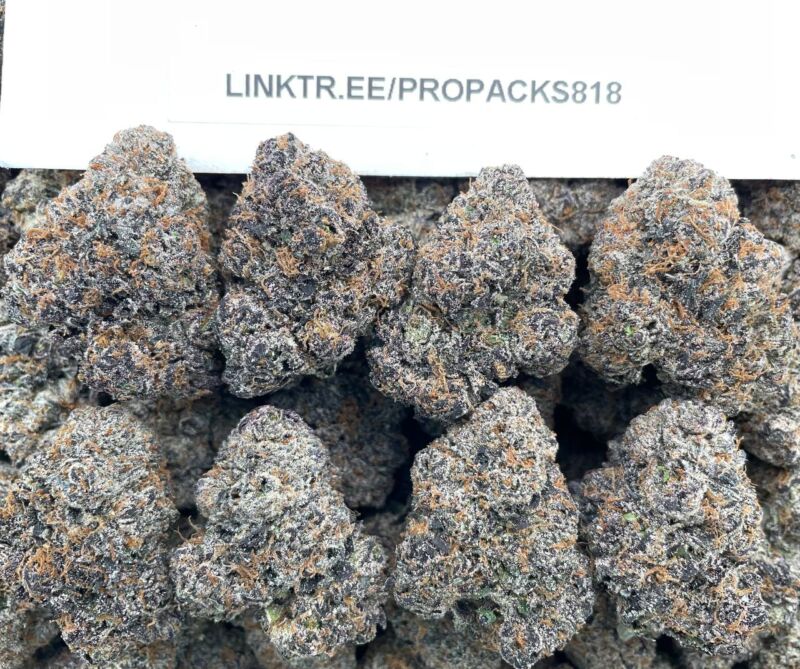 ADL x Lemon Sherbet 🍧 #V537C 🍋