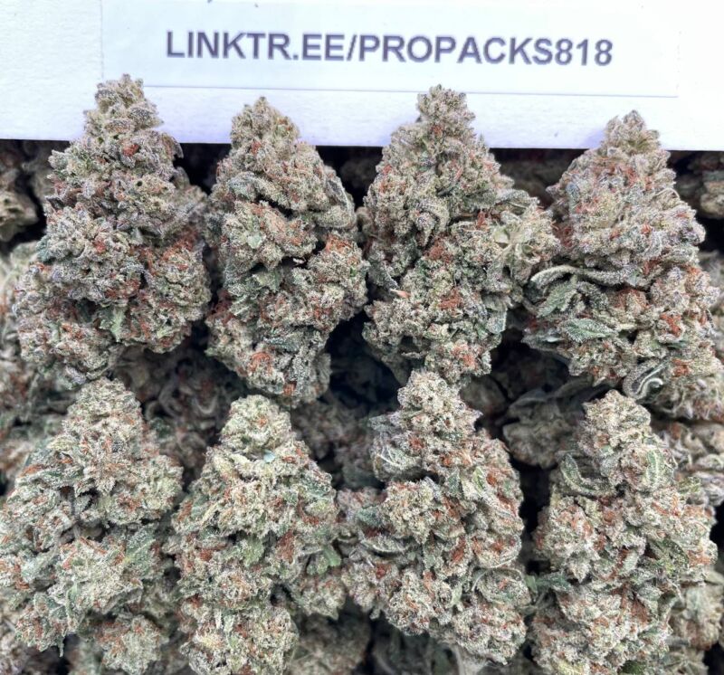 Alien Runtz 👾 #P439C 🎩