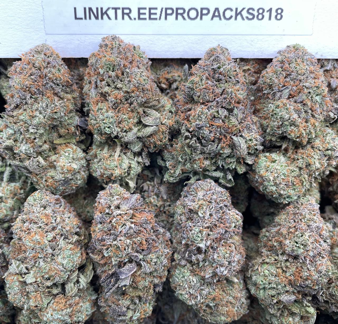 Alien Platinum Berries 🍓 #H386A 🛸