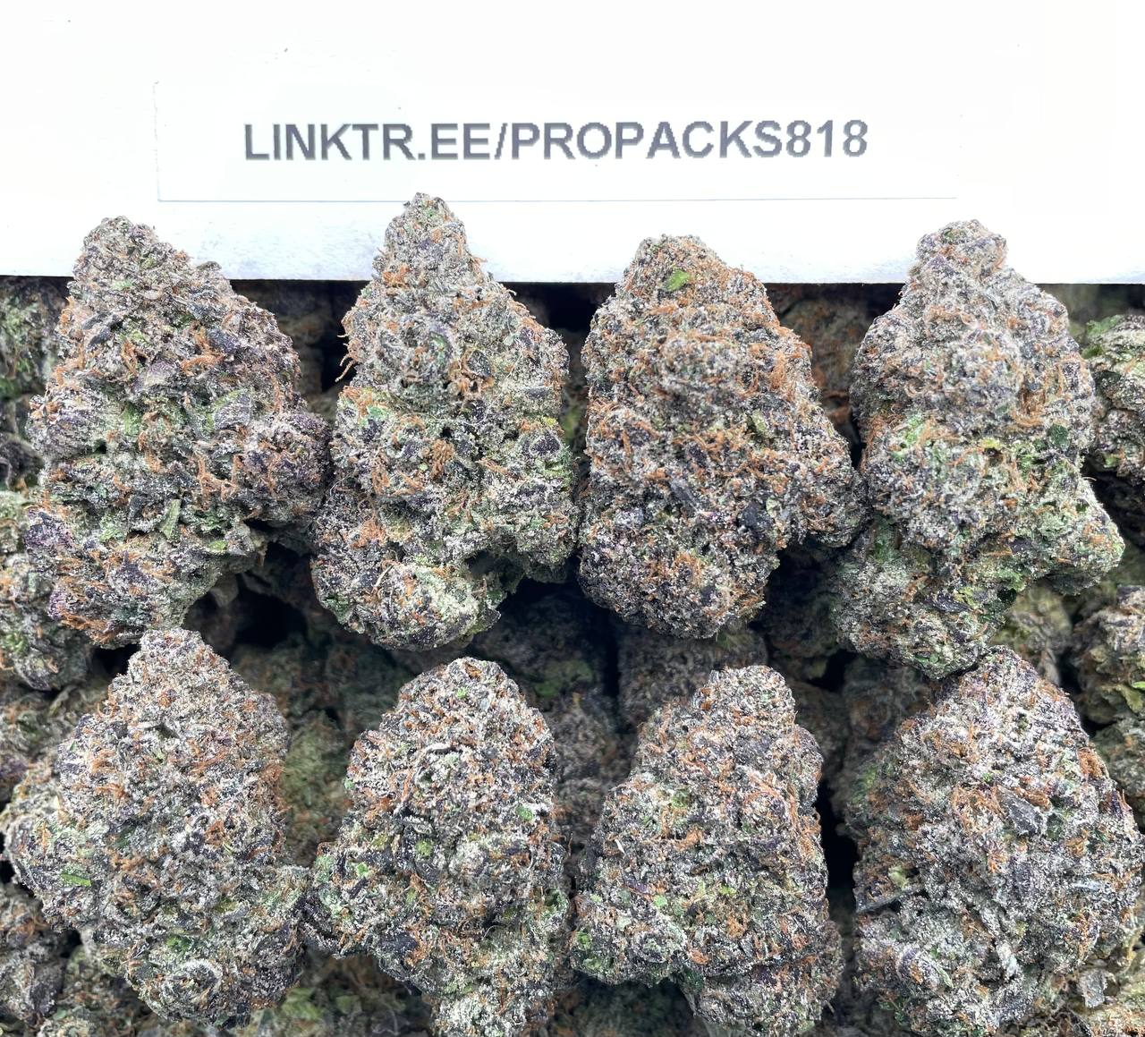 Blast Candy Fuel 💥 #H377A ⛽️