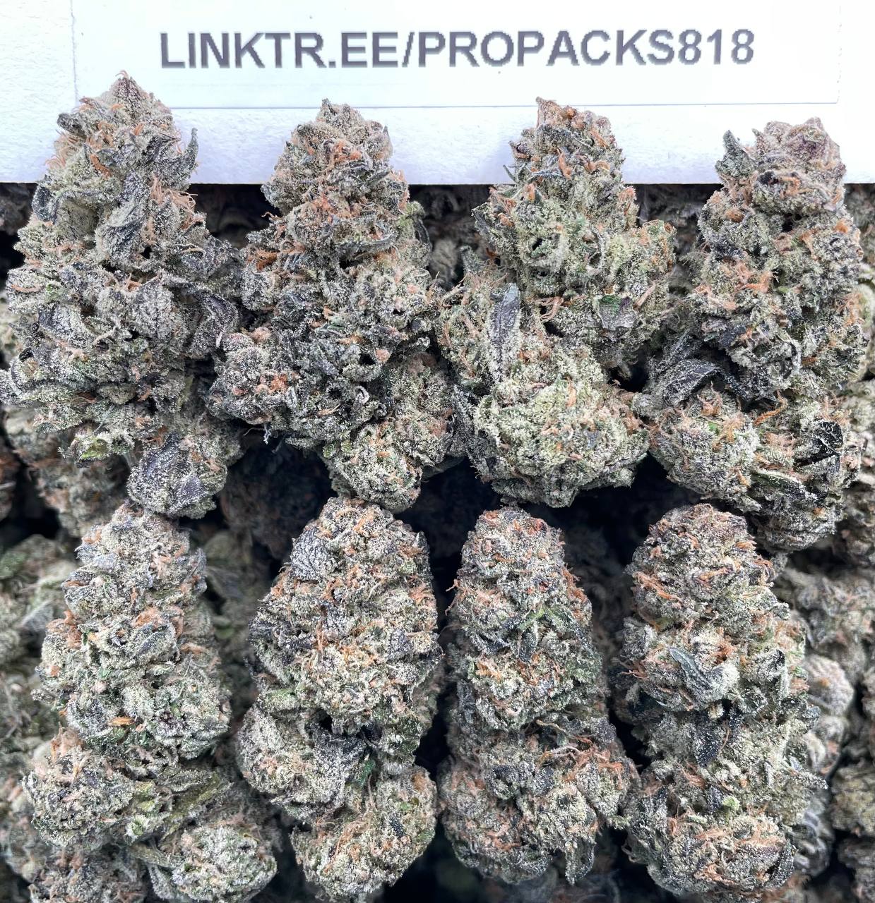 Blue Cookies 🫐 #H380A 🍪