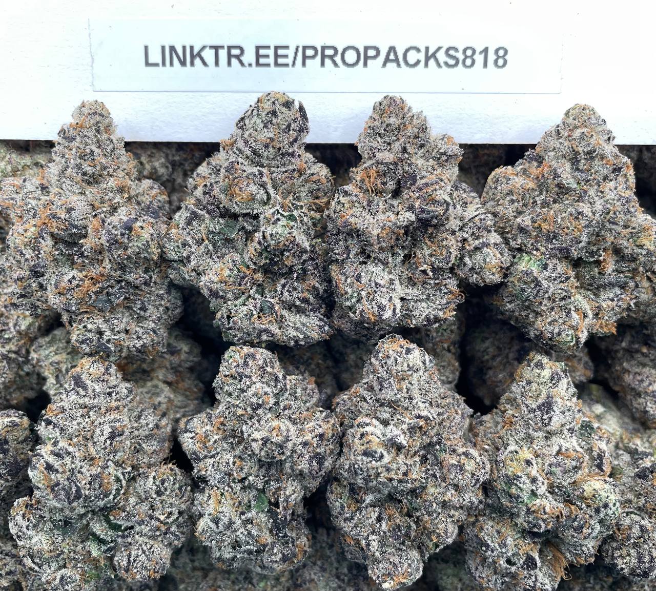 Blueberry Bubblegum 🫐 #H326B 🍬