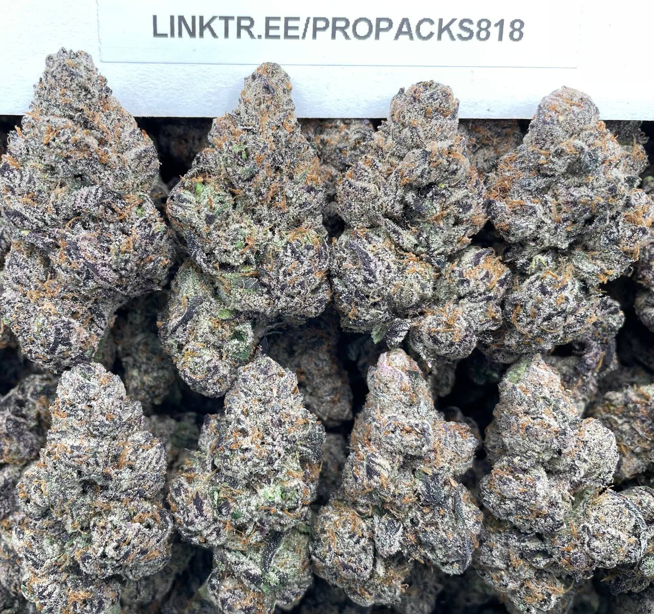 Blueberry Candy Heart 💗 #P458A 🍭
