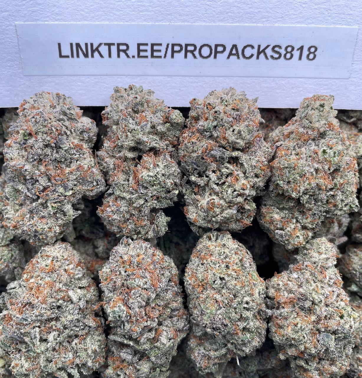 Brightberry Cookies 🍓 #H315B 🍪