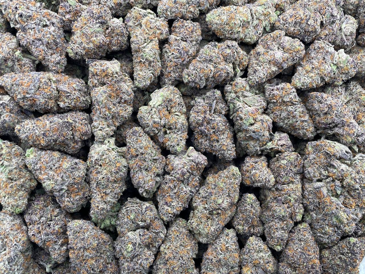 Chewy Raspberry Cookies 🍓 #P459C 🍪