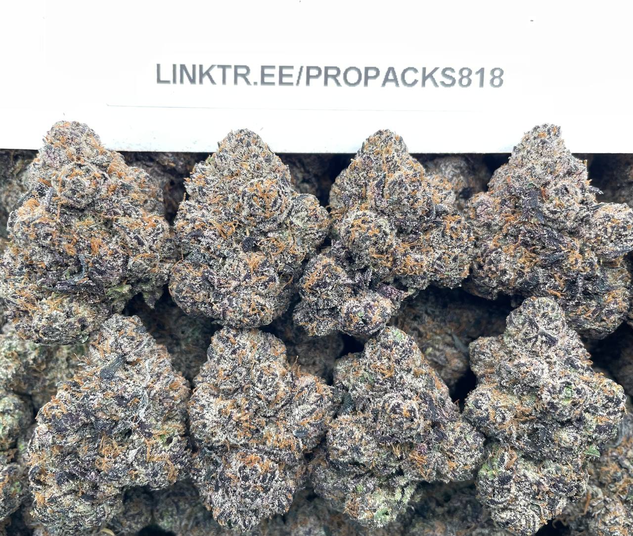 Citrus Sherbert ๐ #V581C ๐ง