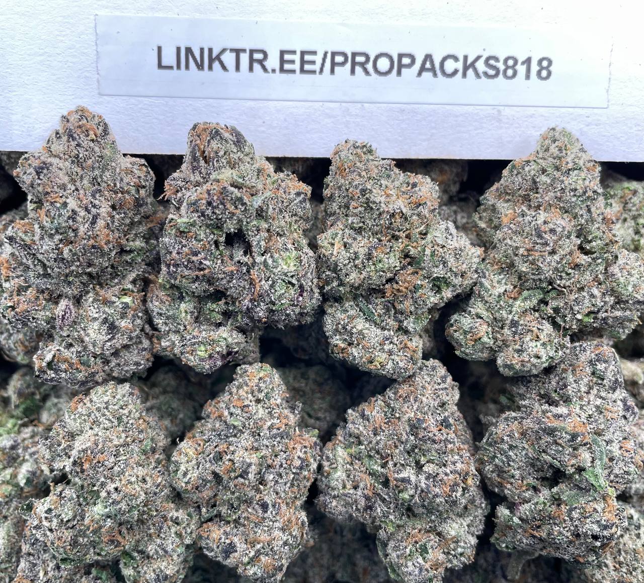 Exotic Rainbow Zkittles ๐ฌ #P406C ๐ญ