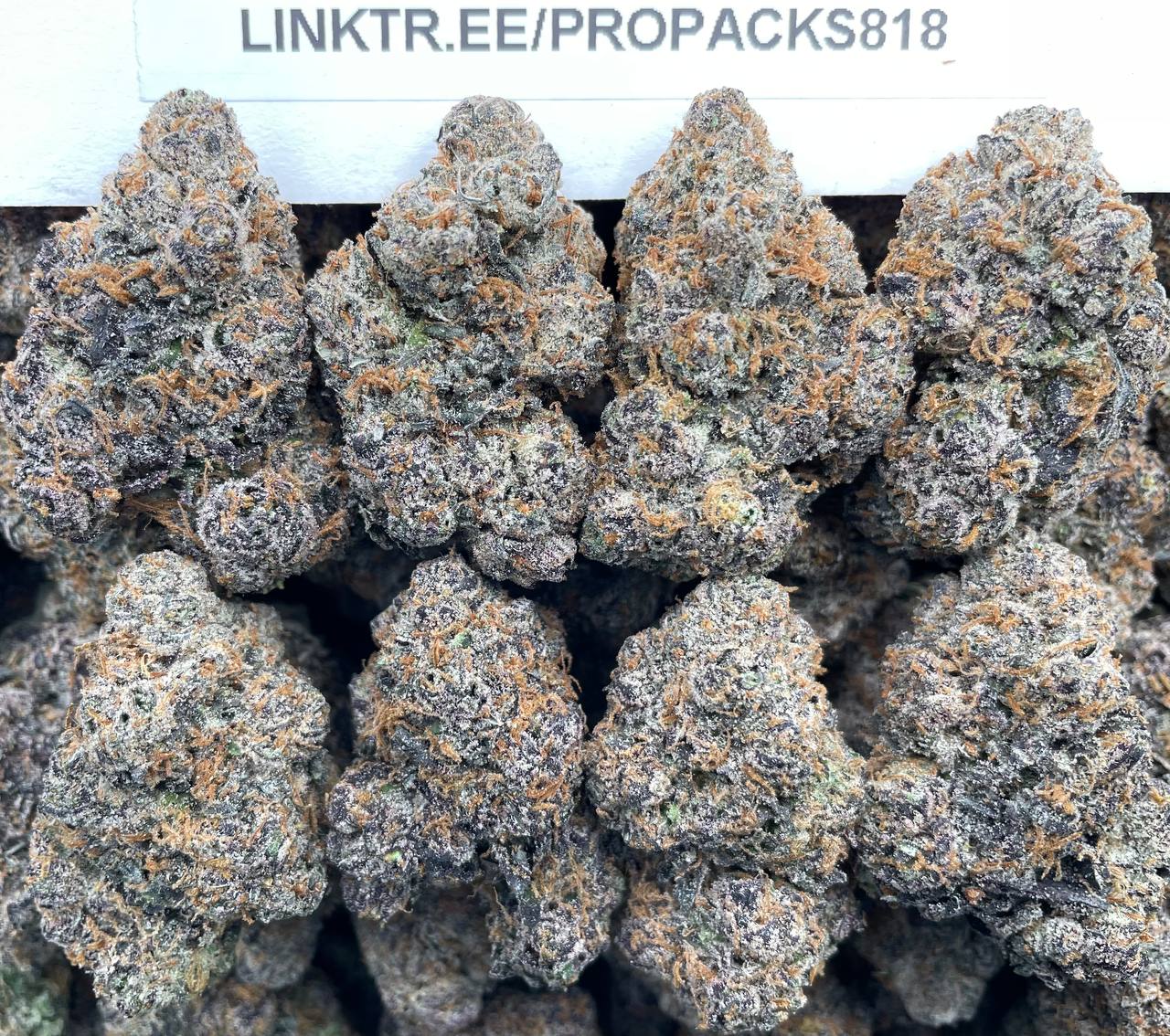 Frosted ADL Runtz 🍬 #H376B 🍋