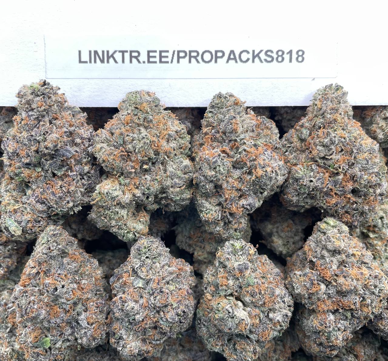 Frosted Mint Cookies 🍀 #H368B 🍪