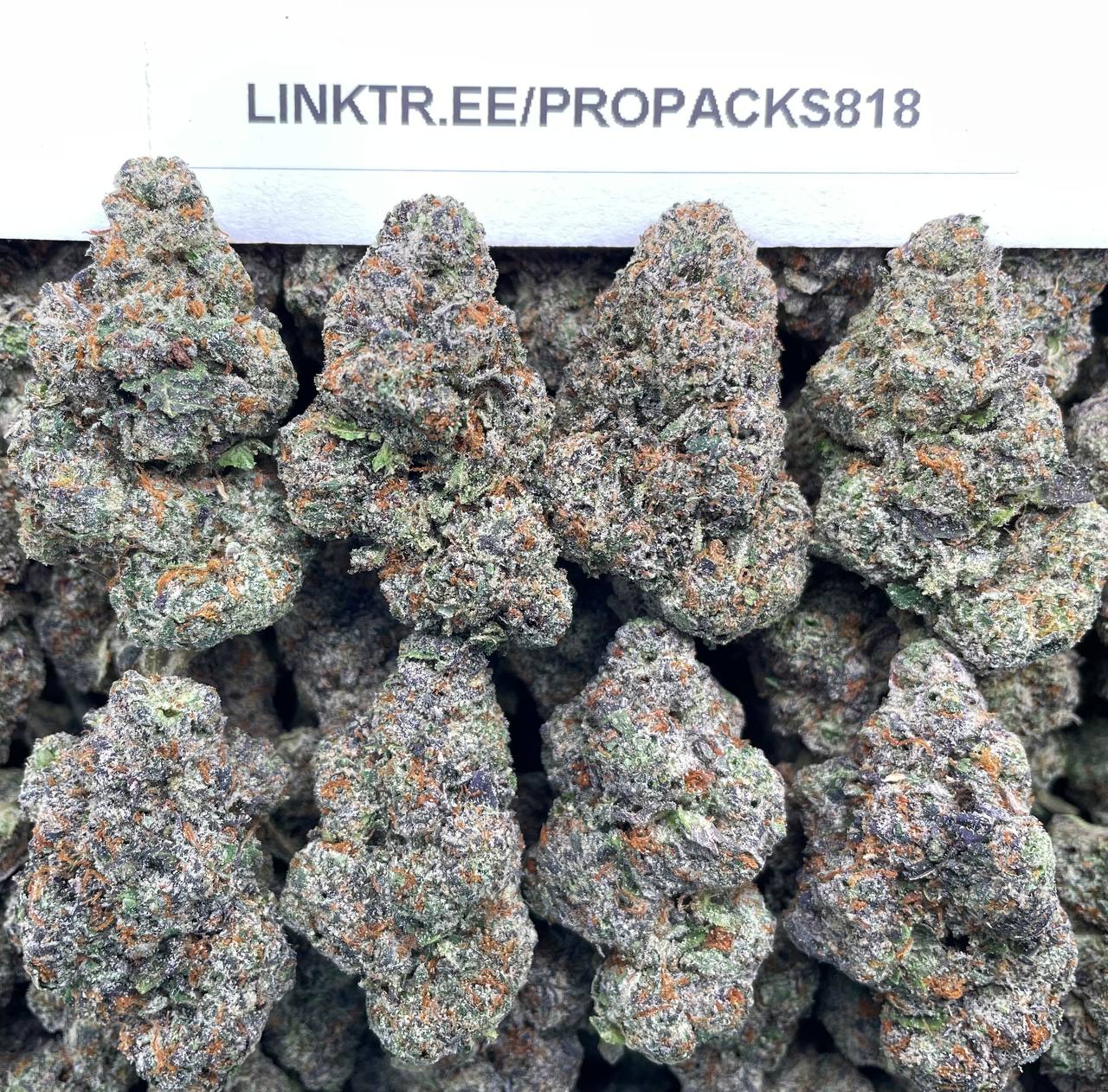 Frosted Pink Zkittlez 🍬 #P413A 💖