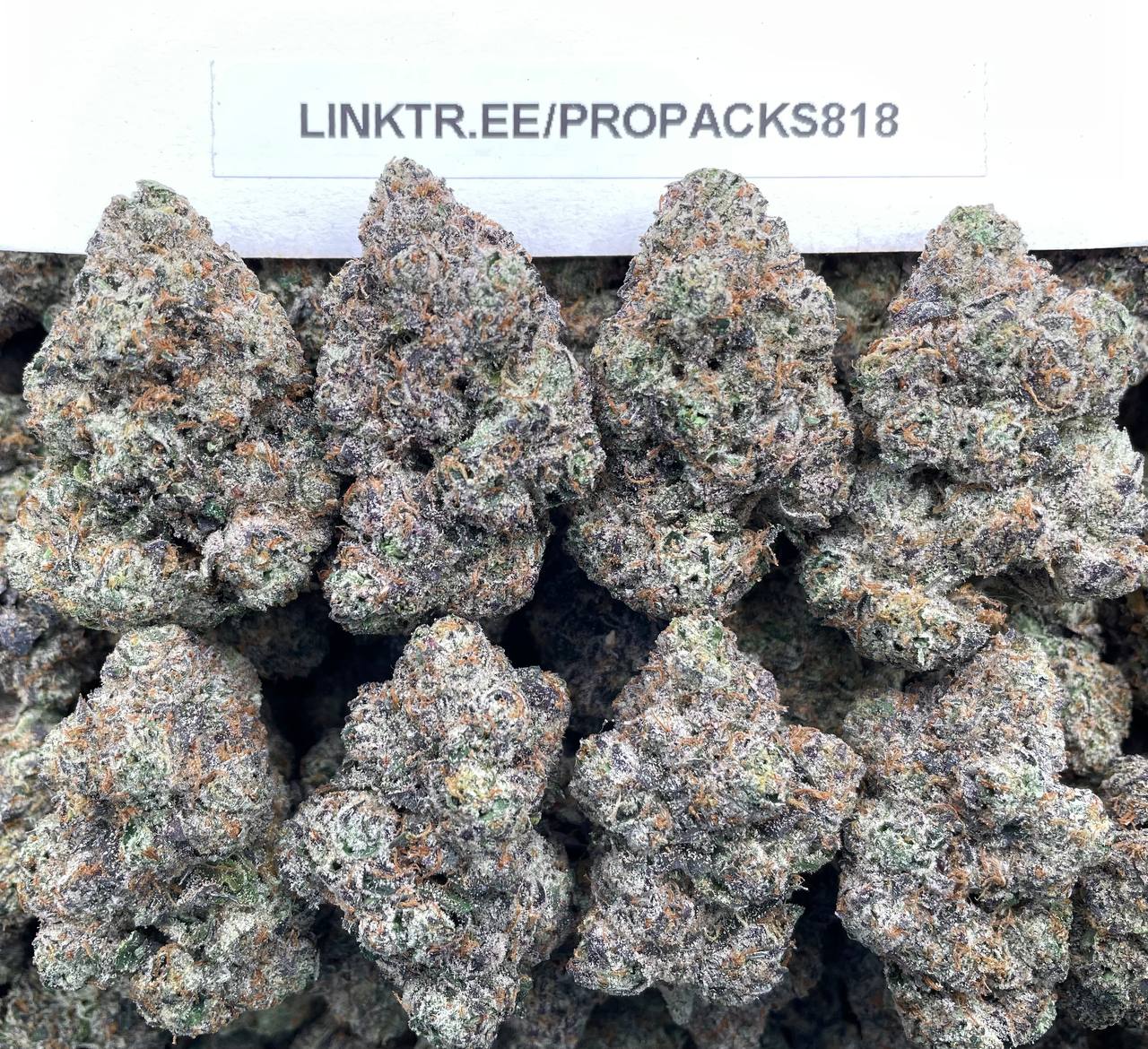 Frosty Cherry Limeade 🥤 #P451C 🍒