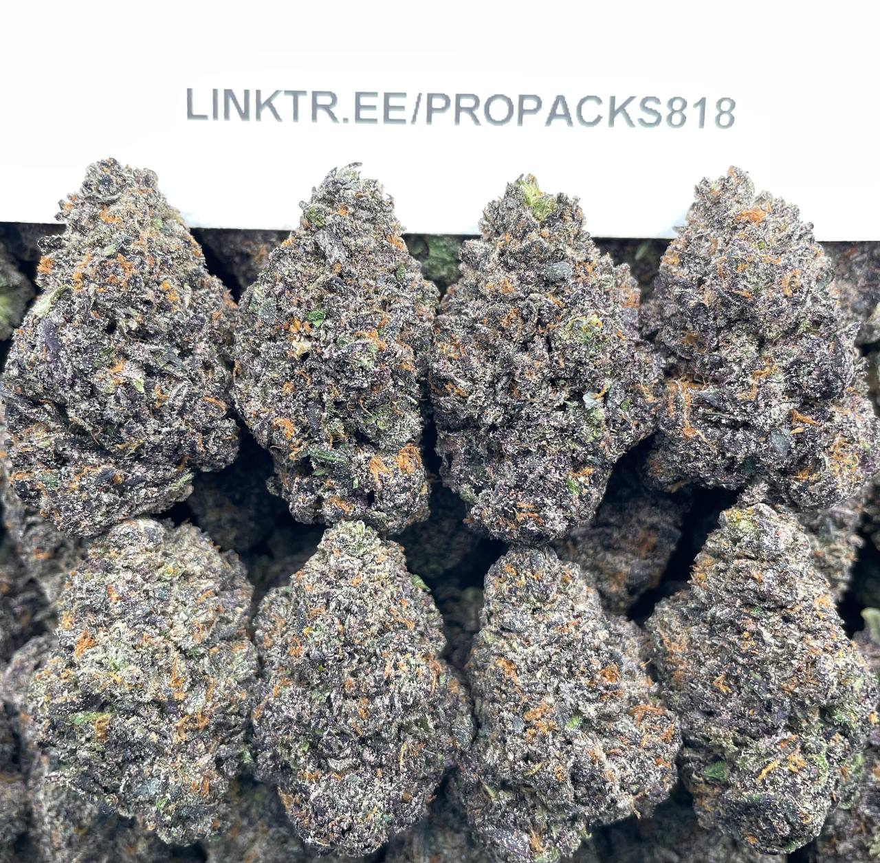 Frozen Black Runtz 🐻❄️ #P421A 🎩