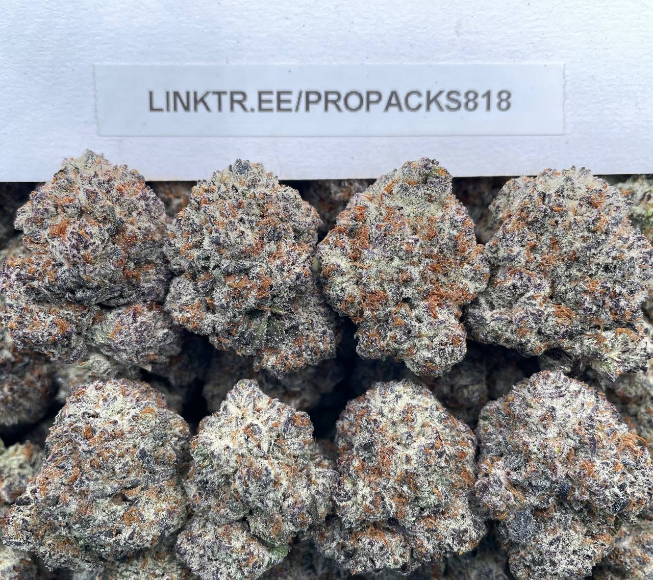 Frozen Cookie Dough 🧊 #H339C 🍪