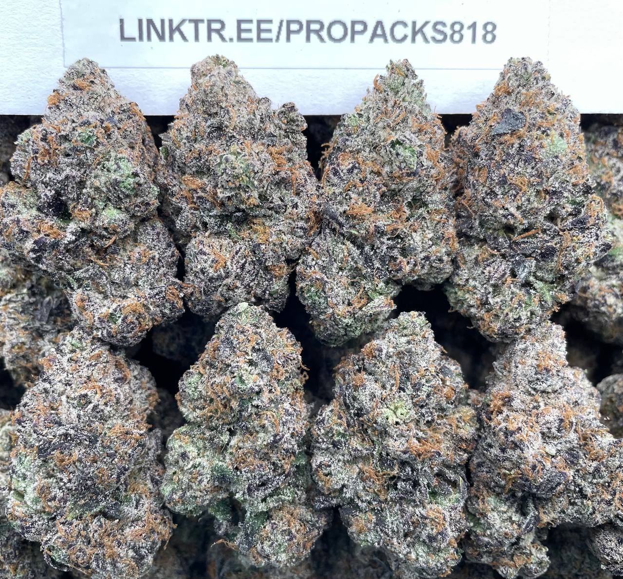 Gas Candy x Watermelon 🍉 #P427A ⛽️