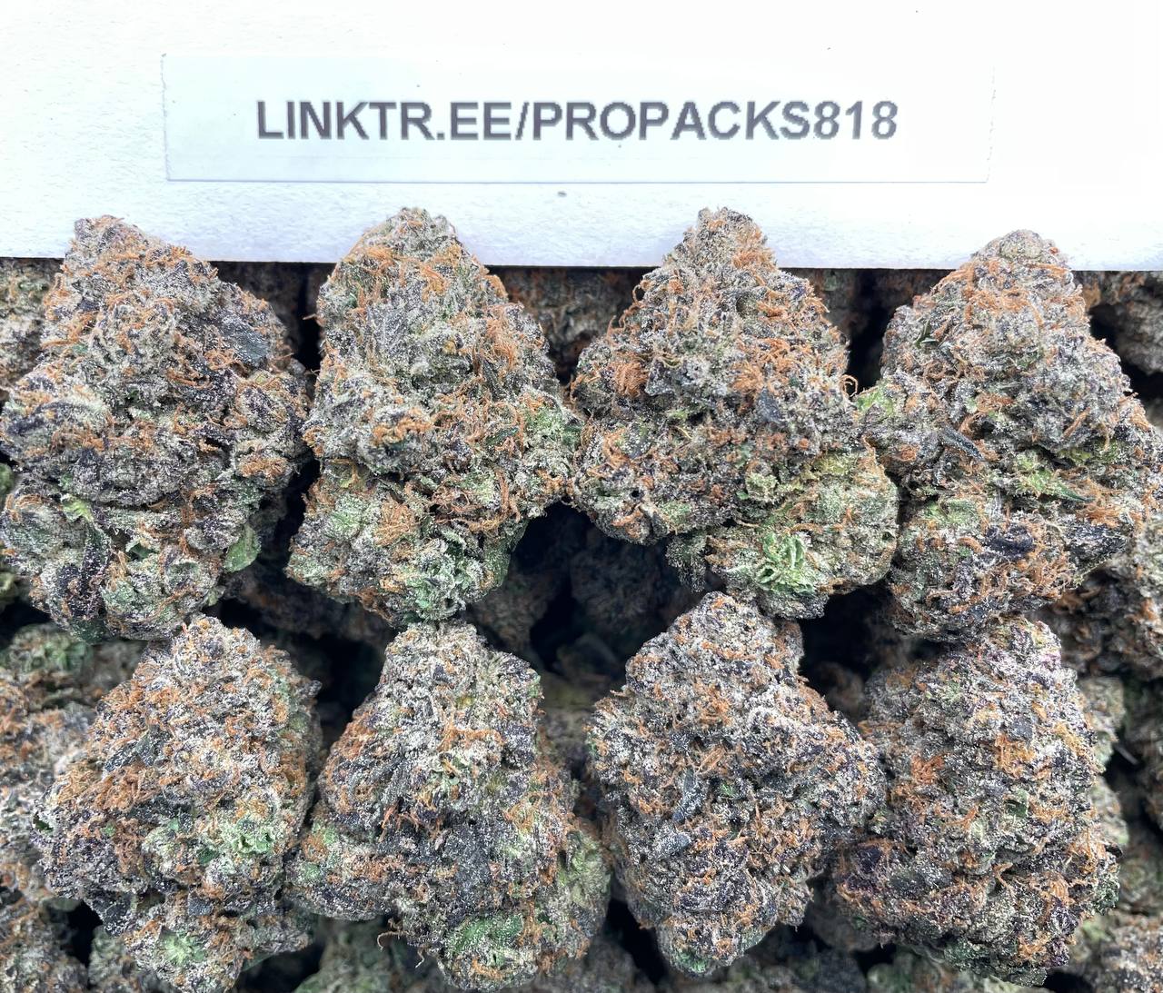 Golden Lemon Cherries 👑 #H350C 🍒