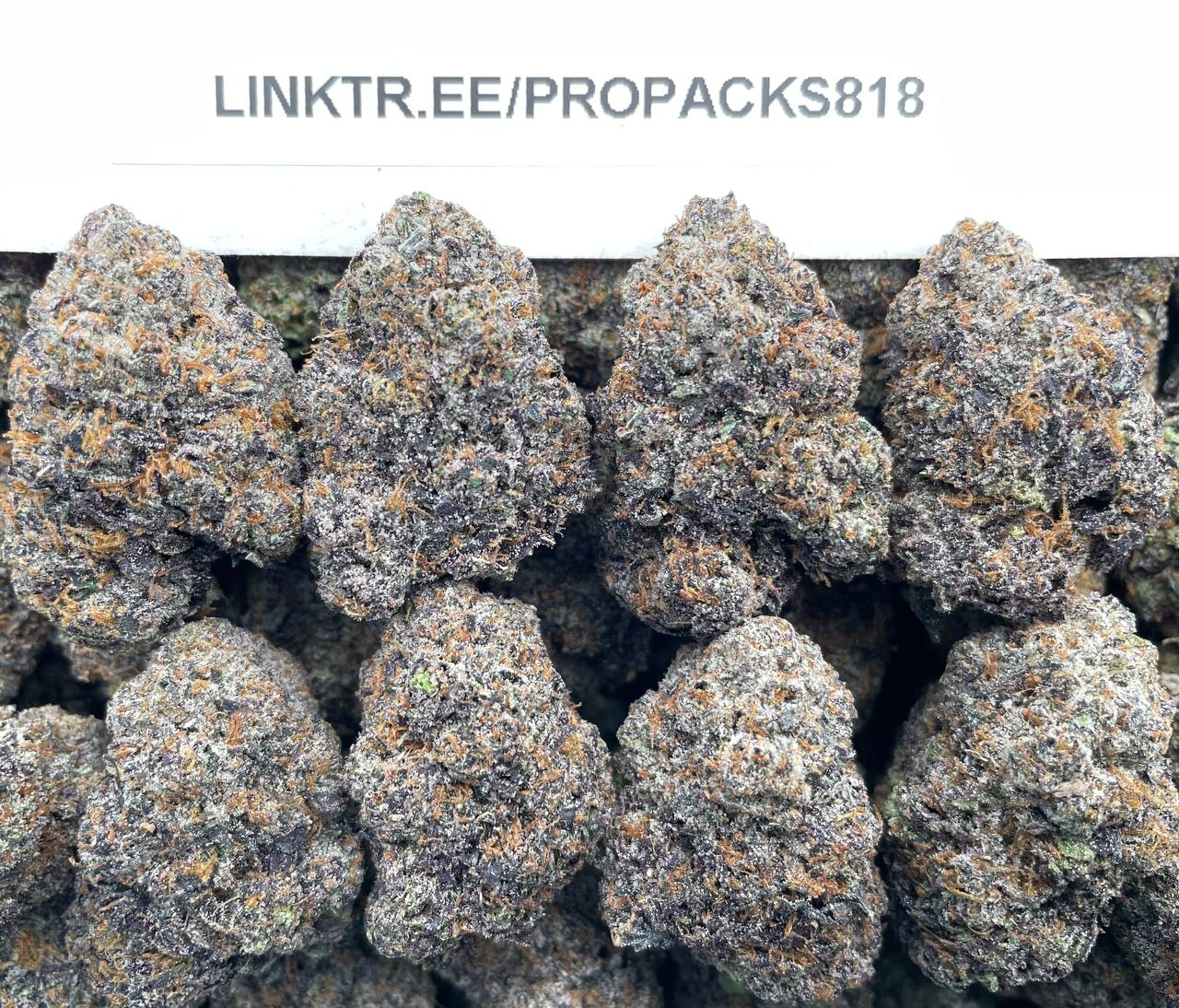 Grape Mochi Blasters 🍇 #H355A 🍡