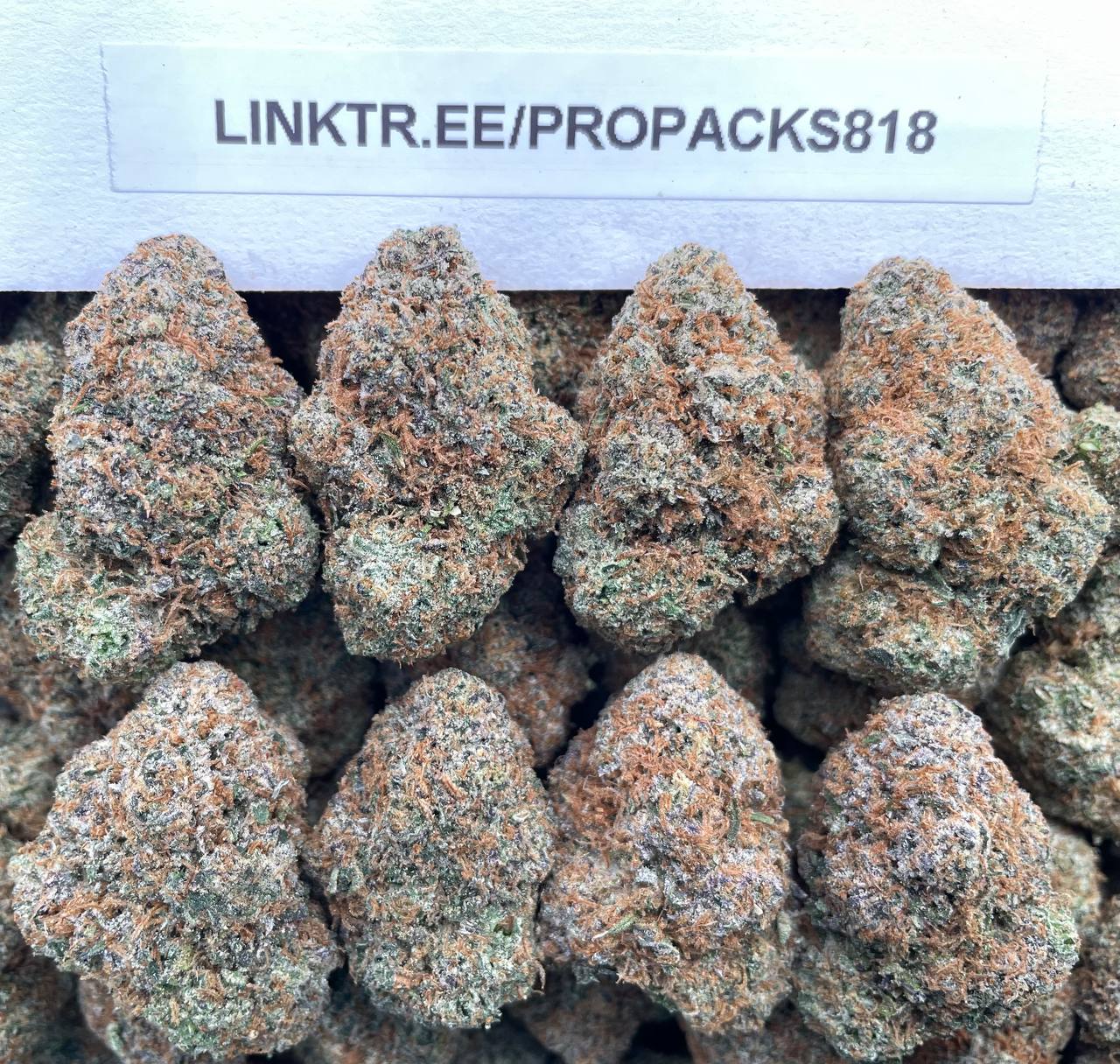Lemon Cherry Octane 🍋 #H351C 🍒