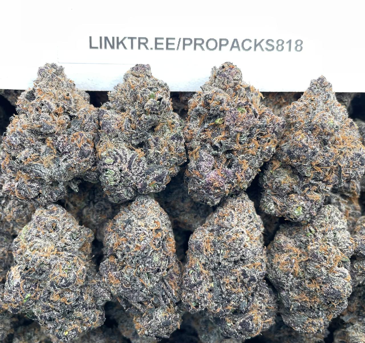Lemon Cherry Red Velvet 🍒 #P403C 🍨
