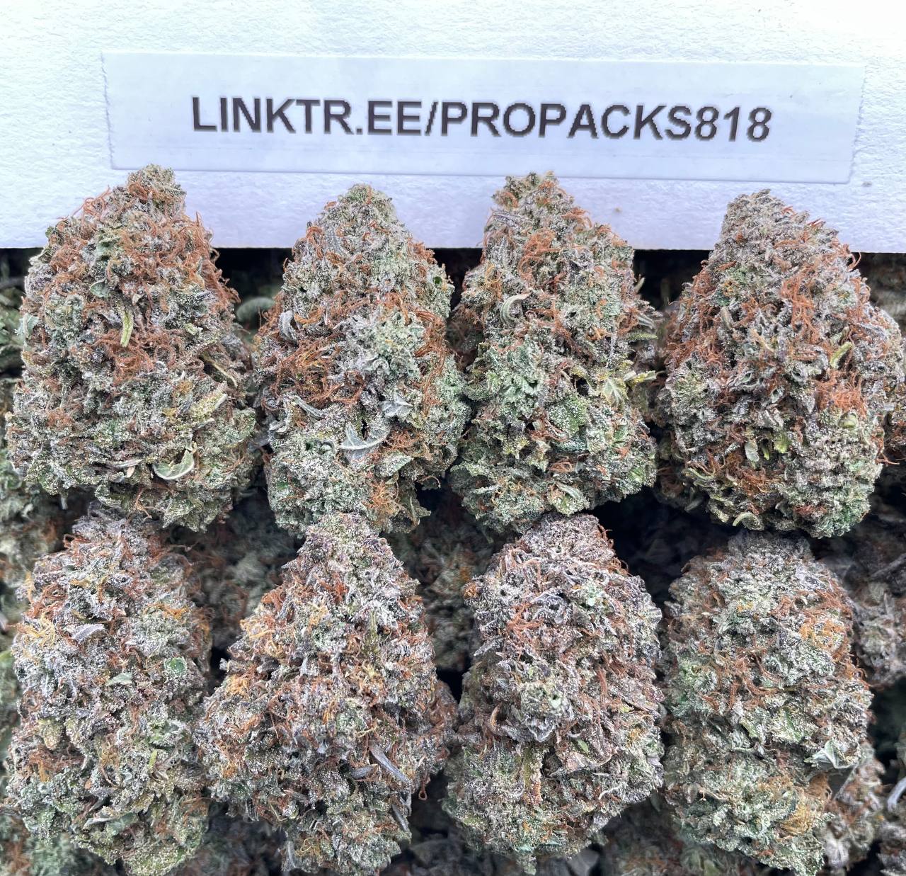 Platinum Berry Pez 🍬 #H398A 🥈
