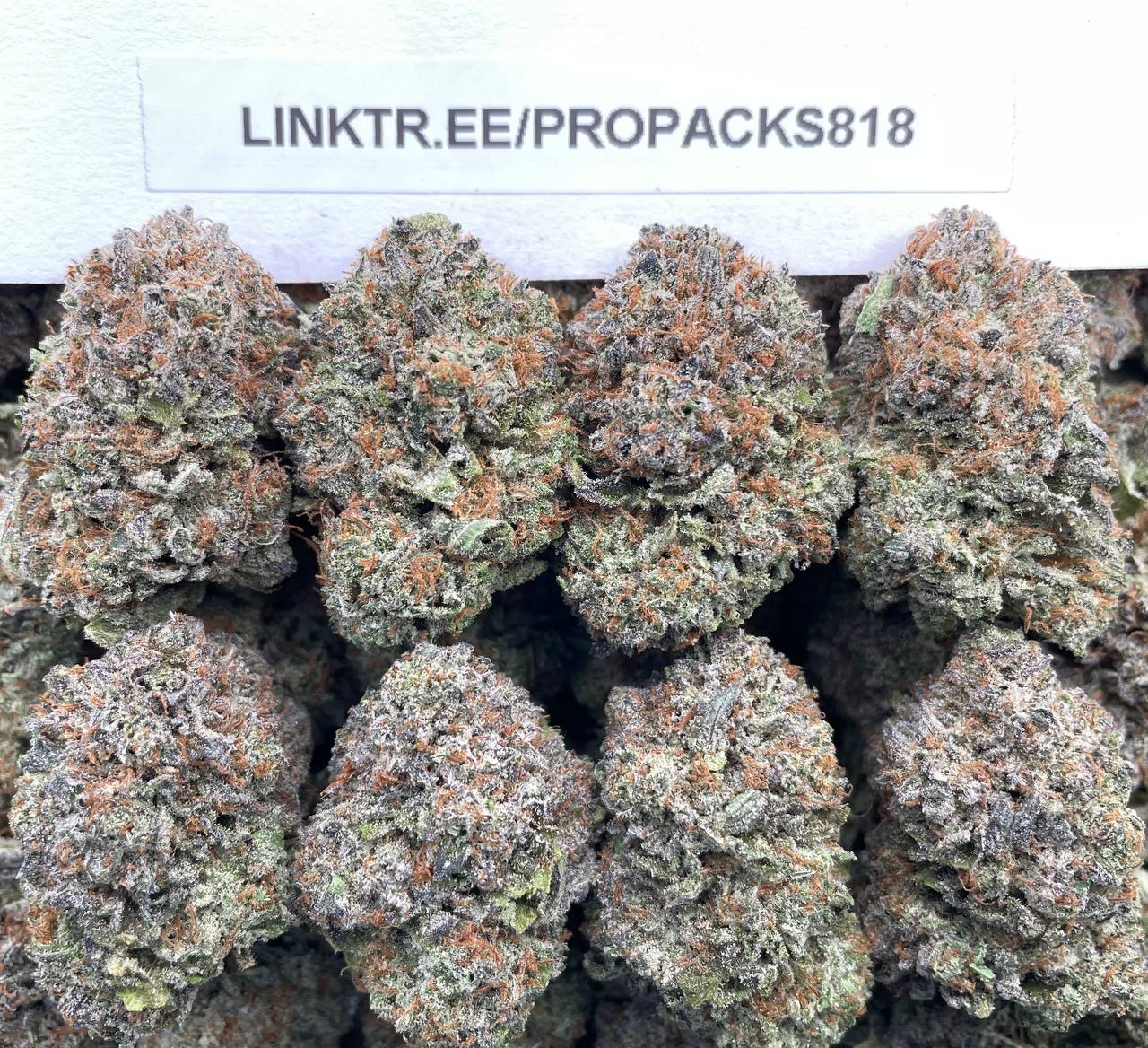 Platinum Snow Cherries 🍒 #H366C 🥈