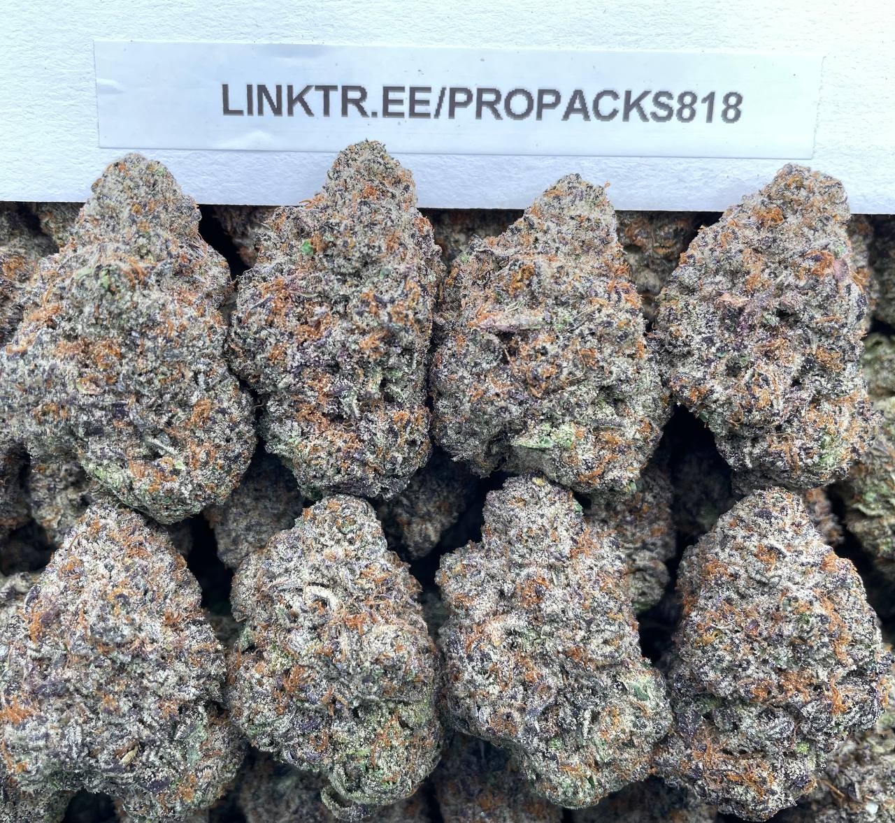 Pressure Cookies 💥 #V544A 🍪
