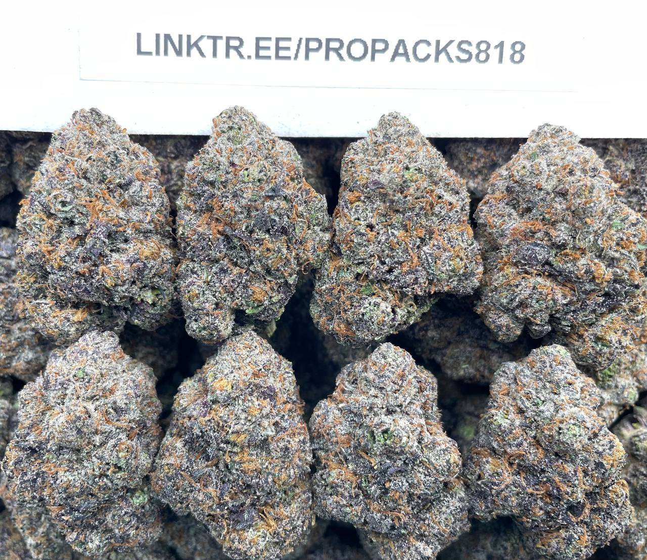 Purple Velvet Mochi 🔮 #H354A 🍡