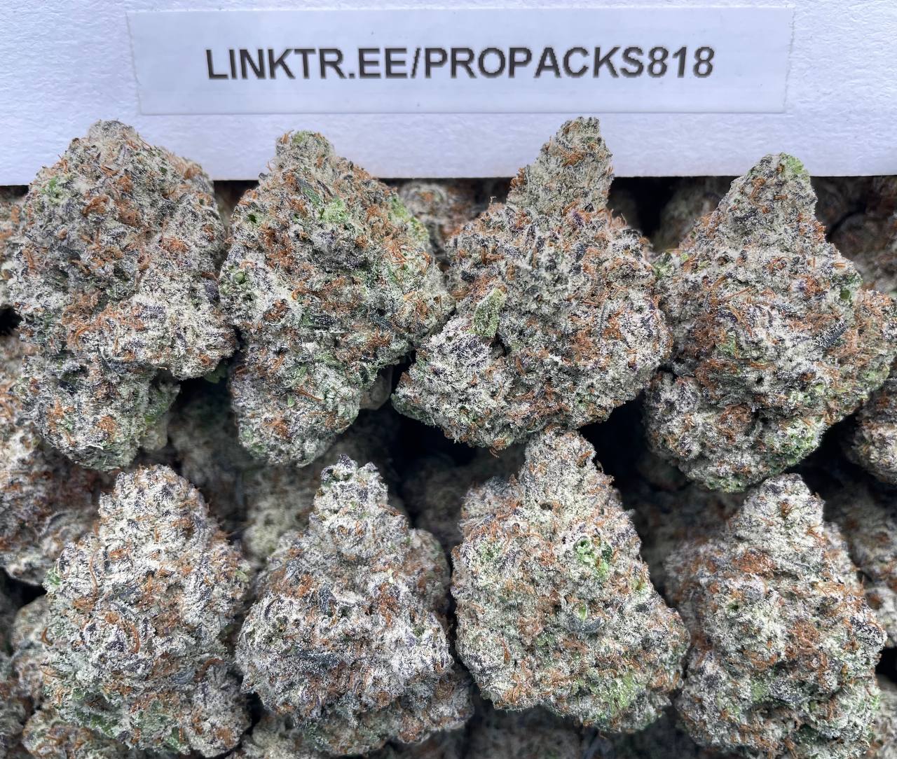 Royal Blue Cookies 🎩 #H316A 🍪