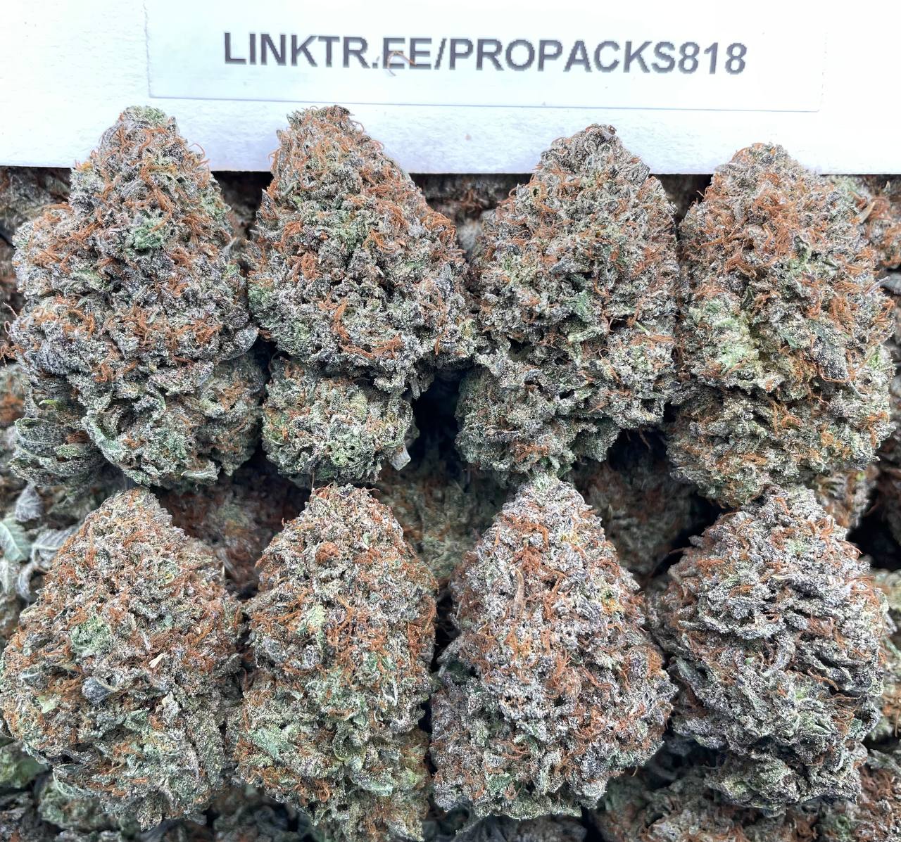 Royal Platinum Gas ⛽️ #H387B 🥈