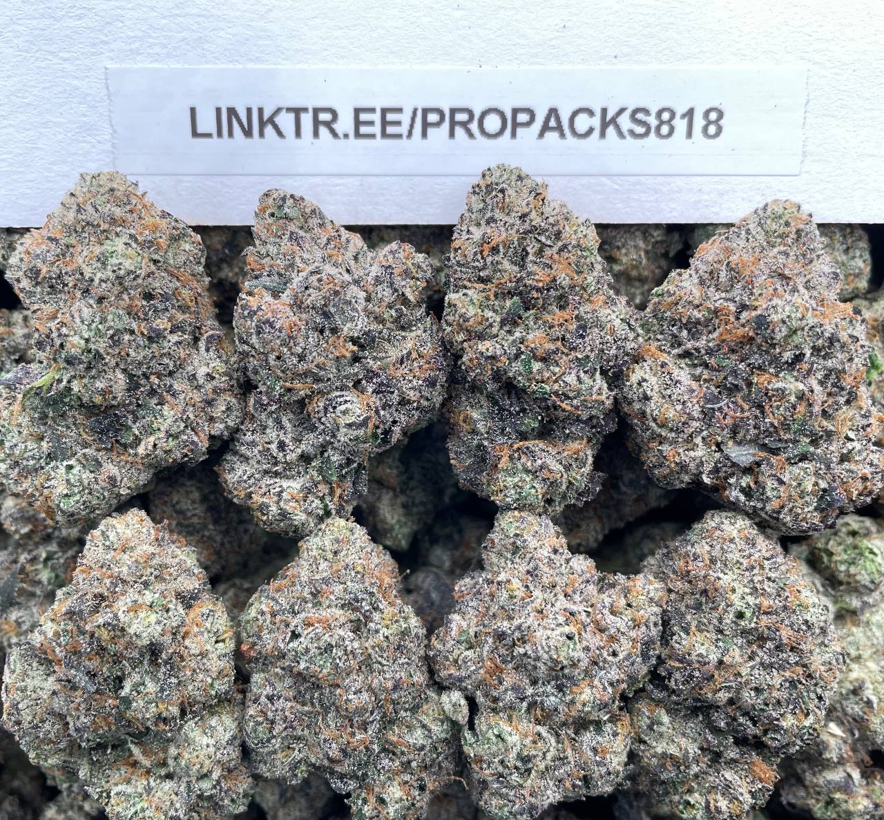 Sirius Lemon Sherbet π #P452B π¨