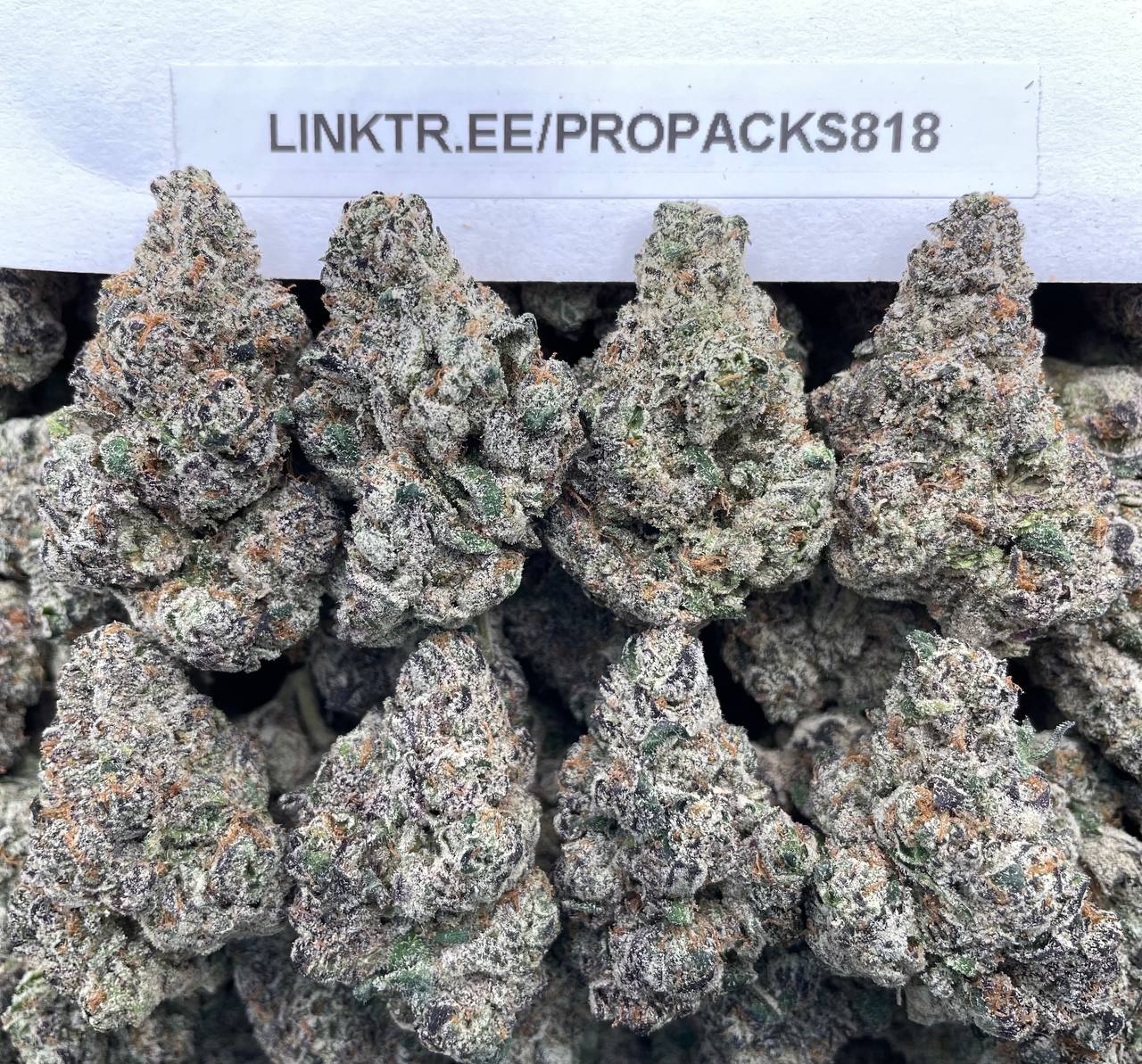 Superior Krunchy Krispies 🧁 #P467A 🍩
