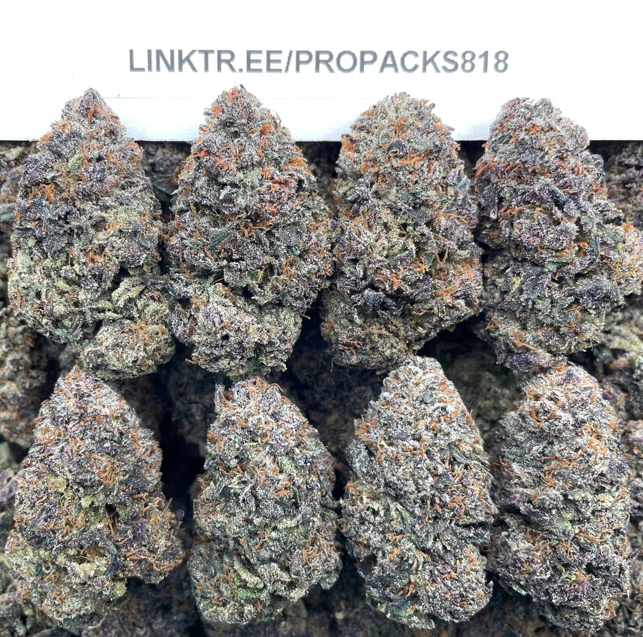Sweet Gas Gelato ⛽️ #H334B 🍨