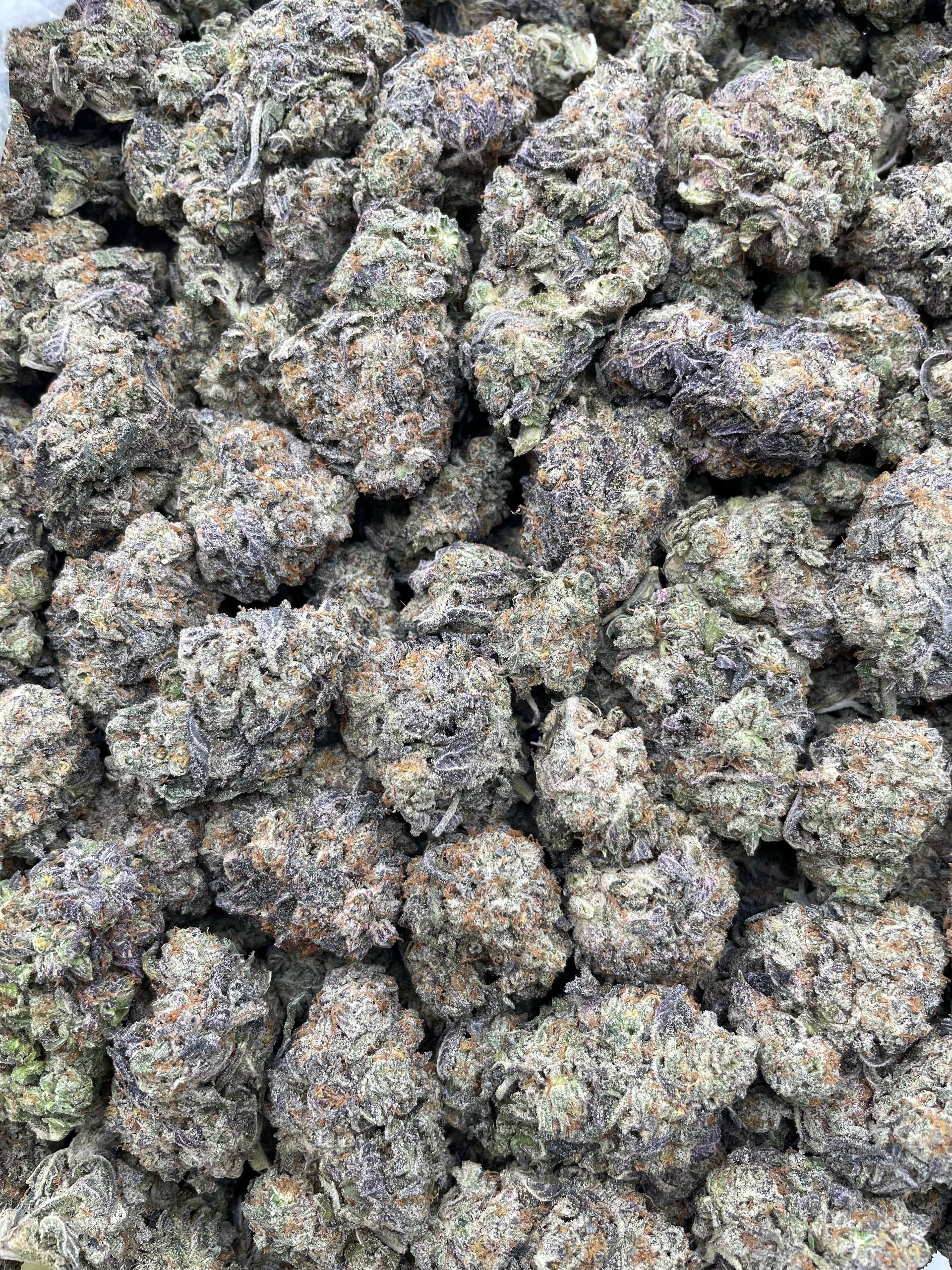 #PF12A π¨ Gelato Z π§