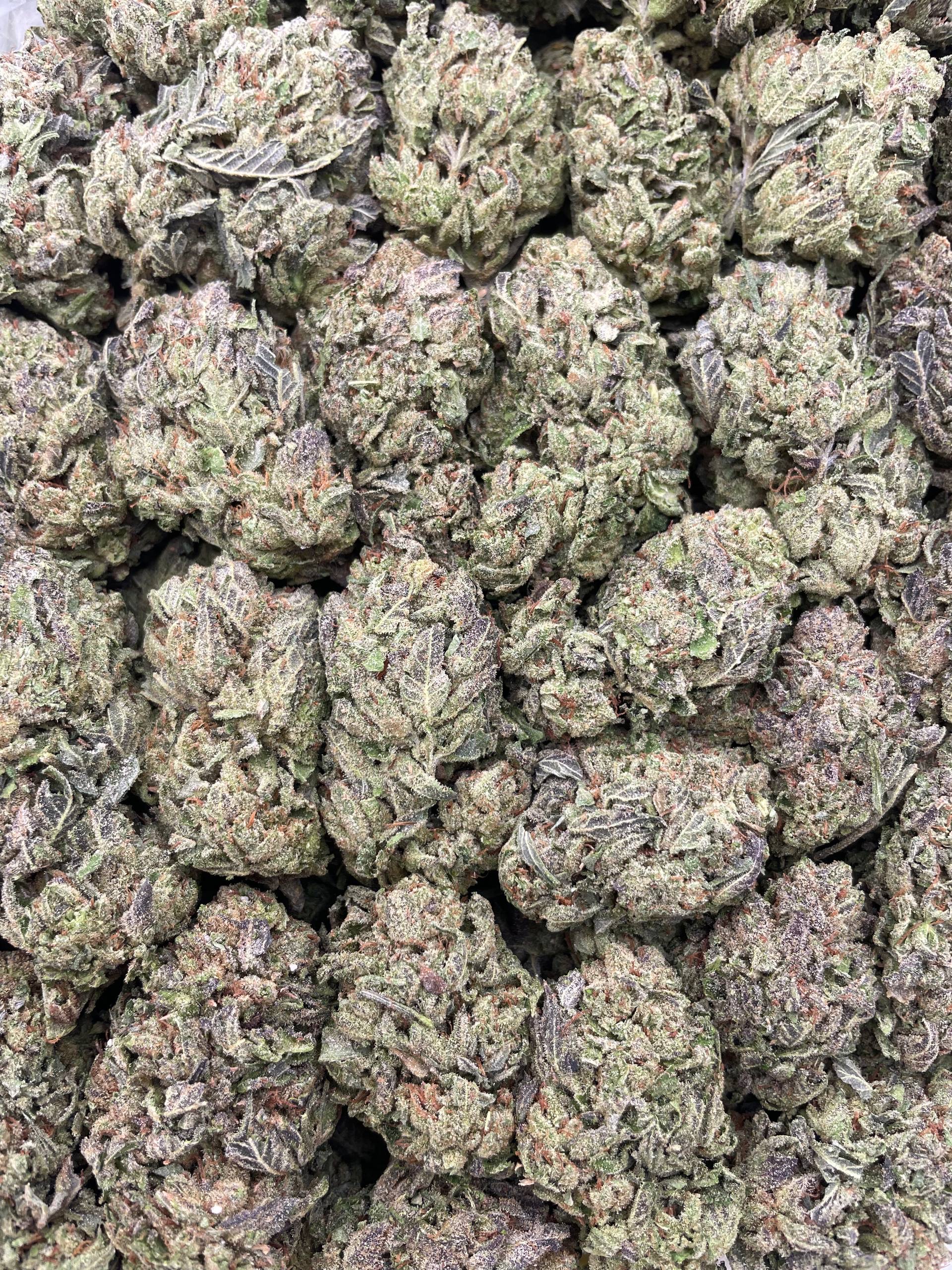 #PE8B ⛽️ Master Kush 🎓