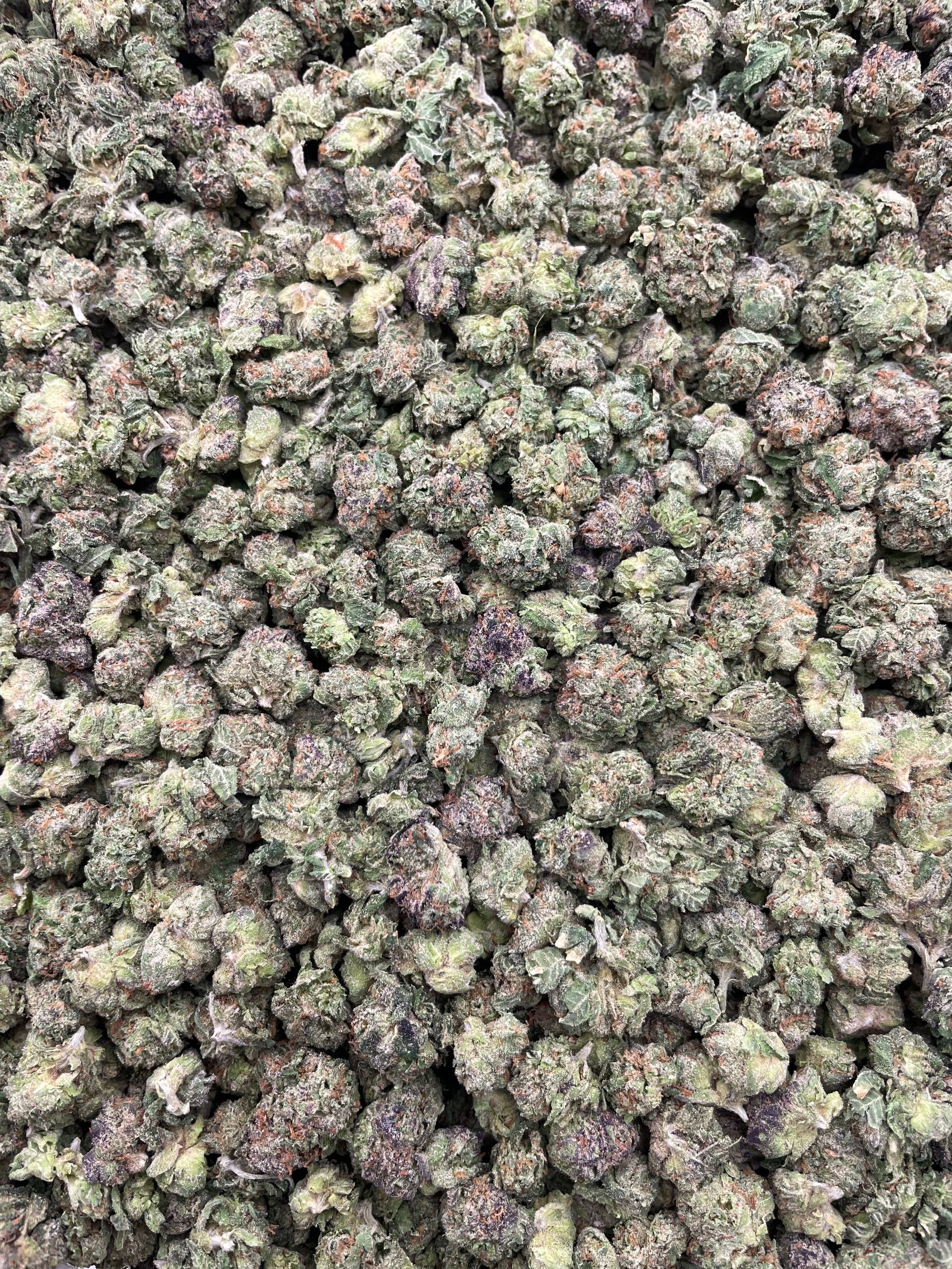 #PF22B 🍬 Green Apple Punch Bites Smalls 🍏