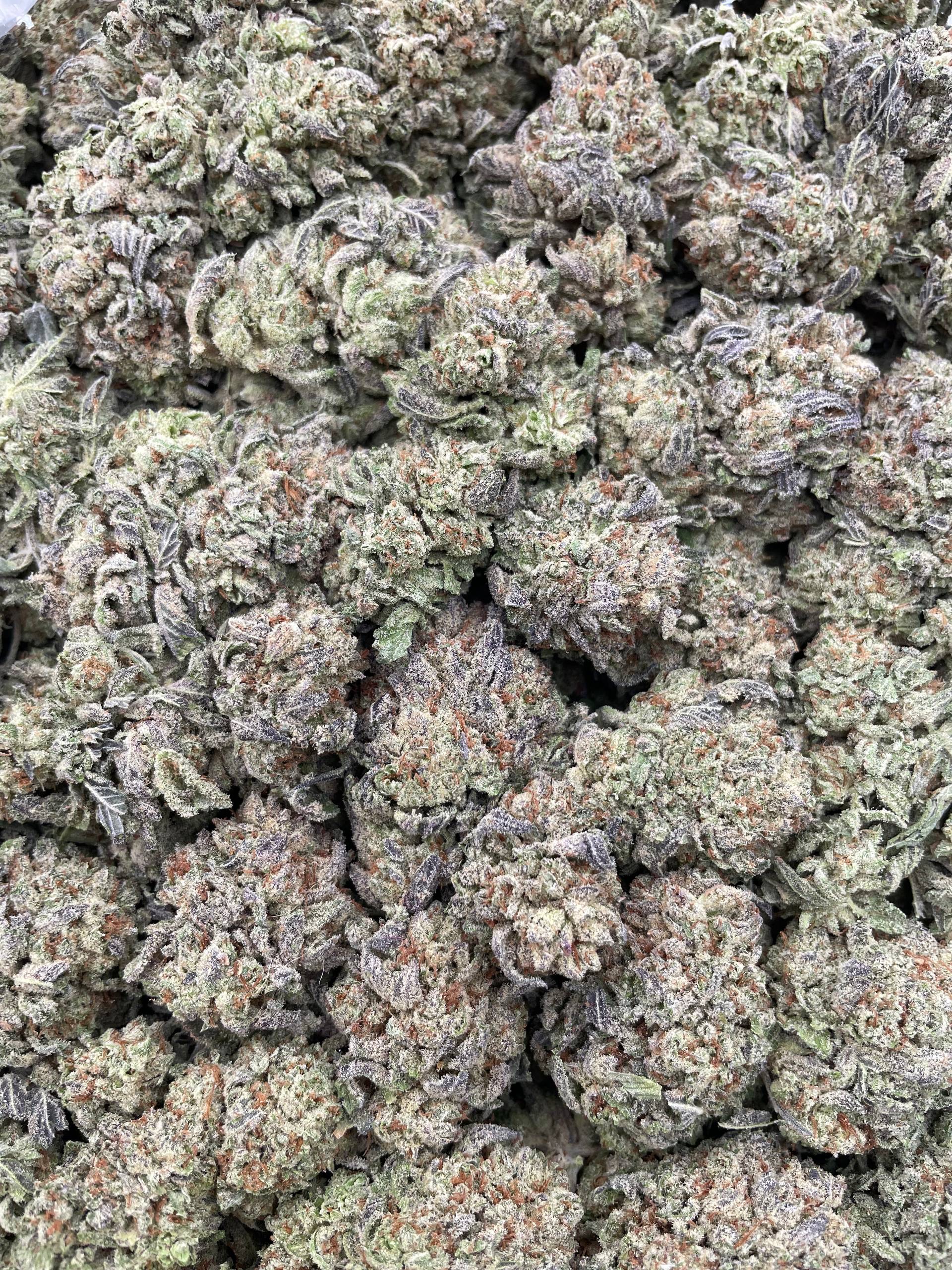 #PE12A 🍨 Buttercream Gelato 🧈