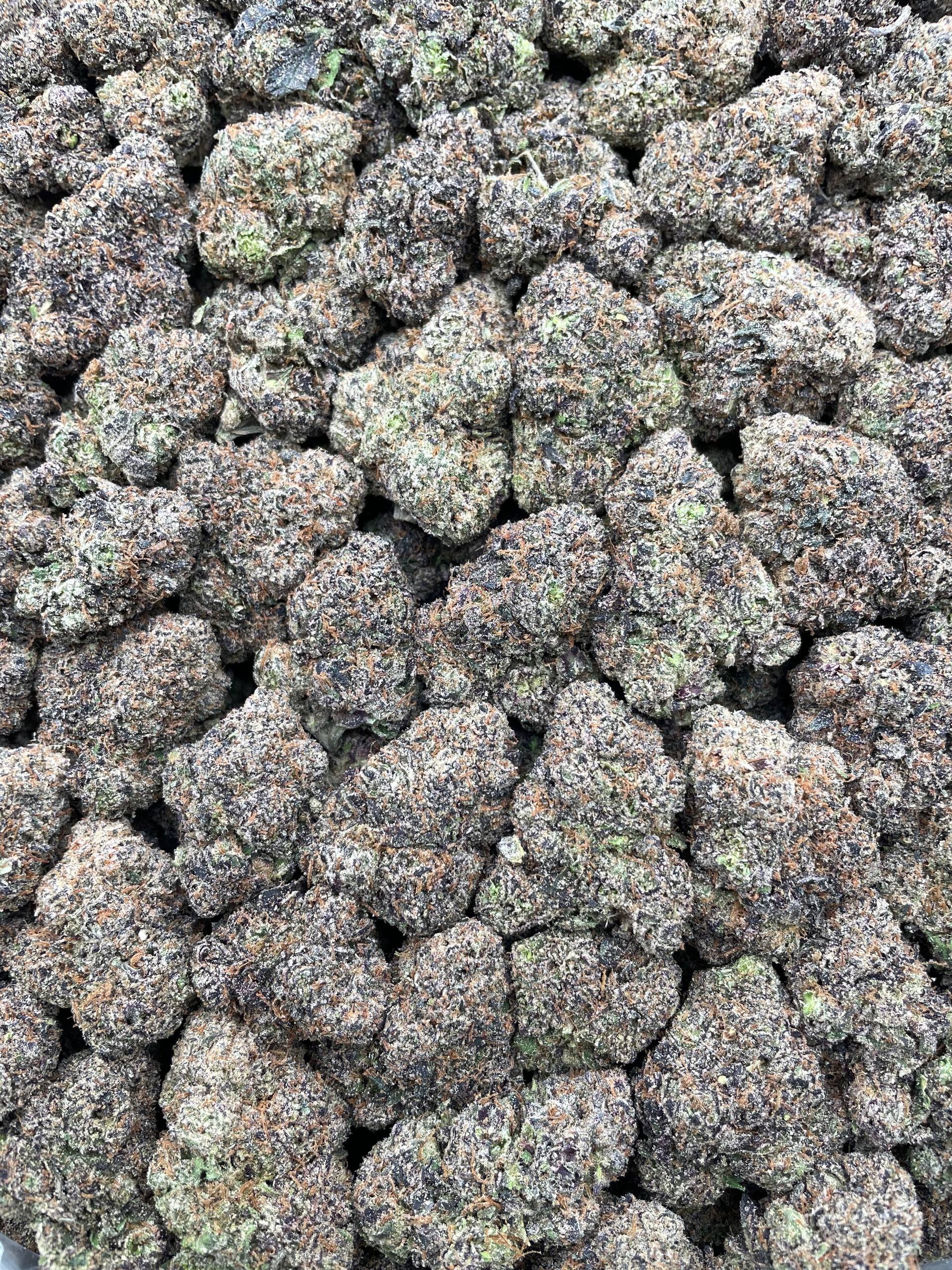 #PE21A 🍨 Bubblegum Gelato 🍬
