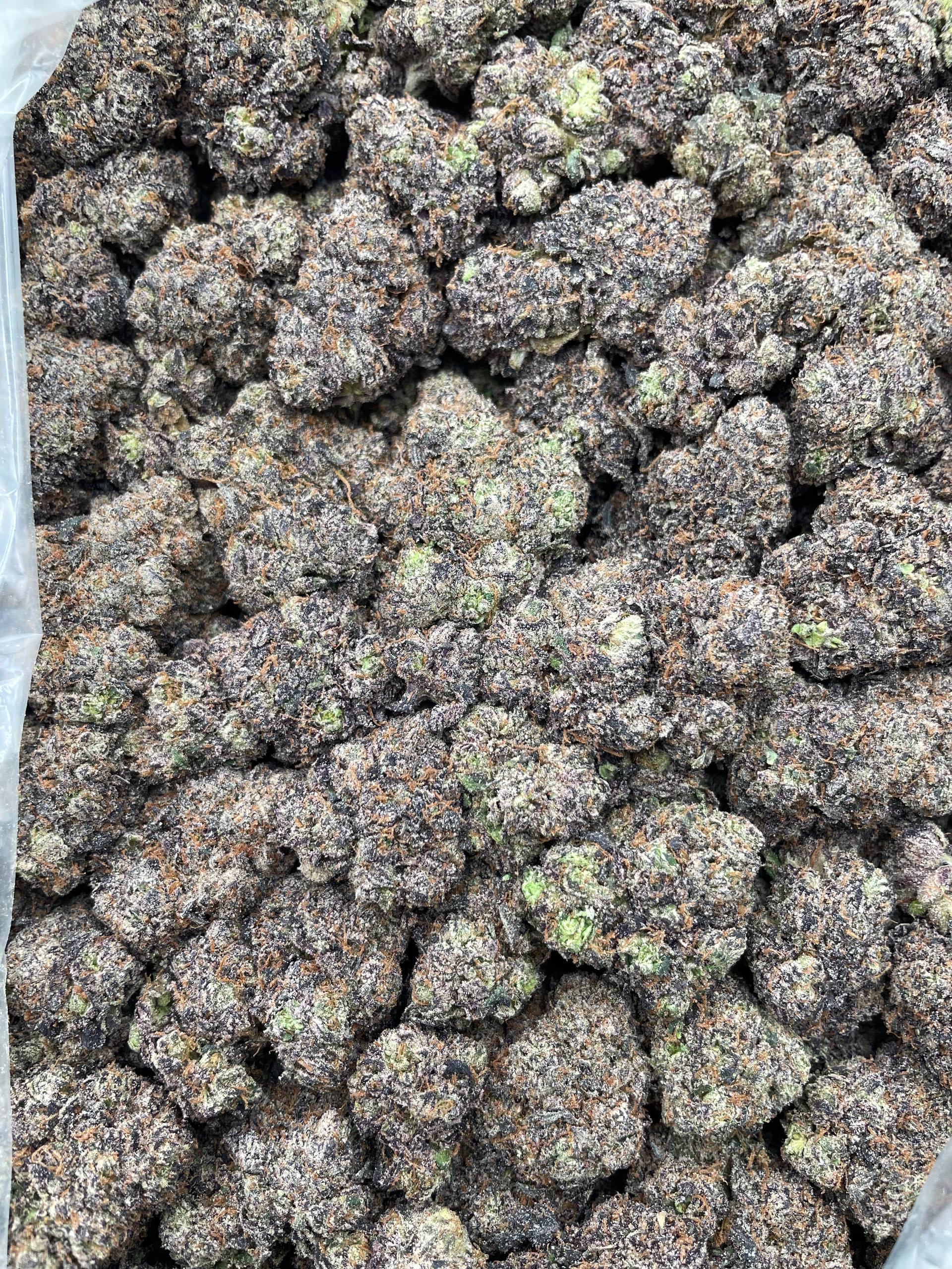 #PL26C 🍡 Cherry Gelato x Mochilato 🍒