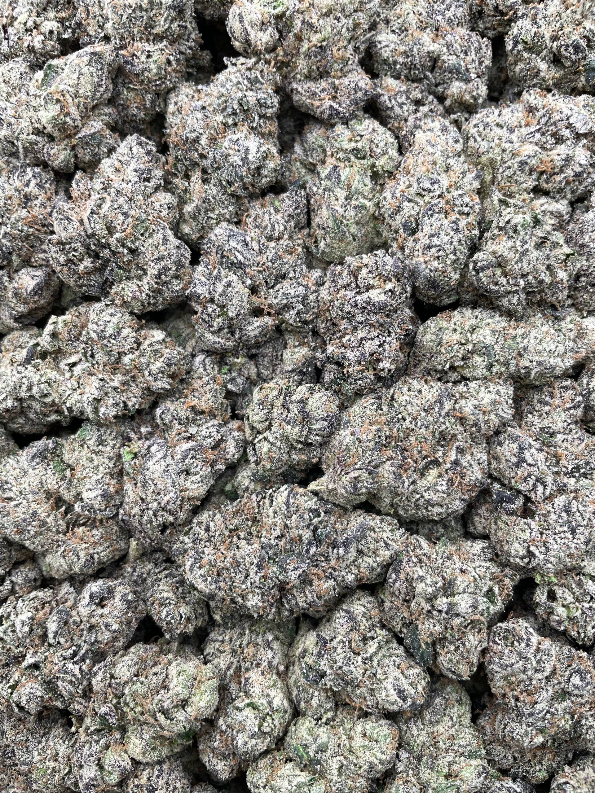 #PR72T 🍬 Lemonhead Ropes 🍋