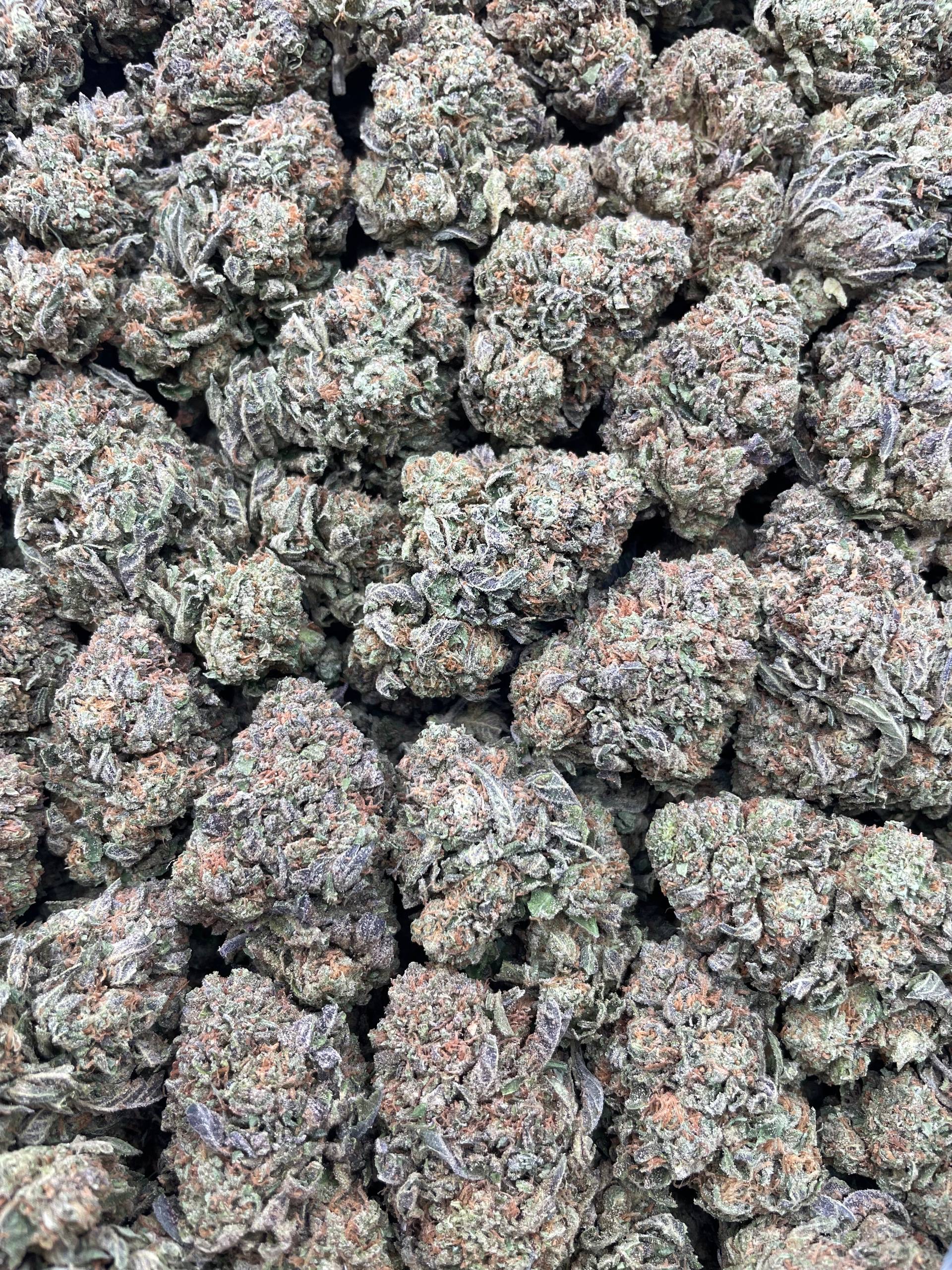 #PG3C 🍬 Candyland 🍭