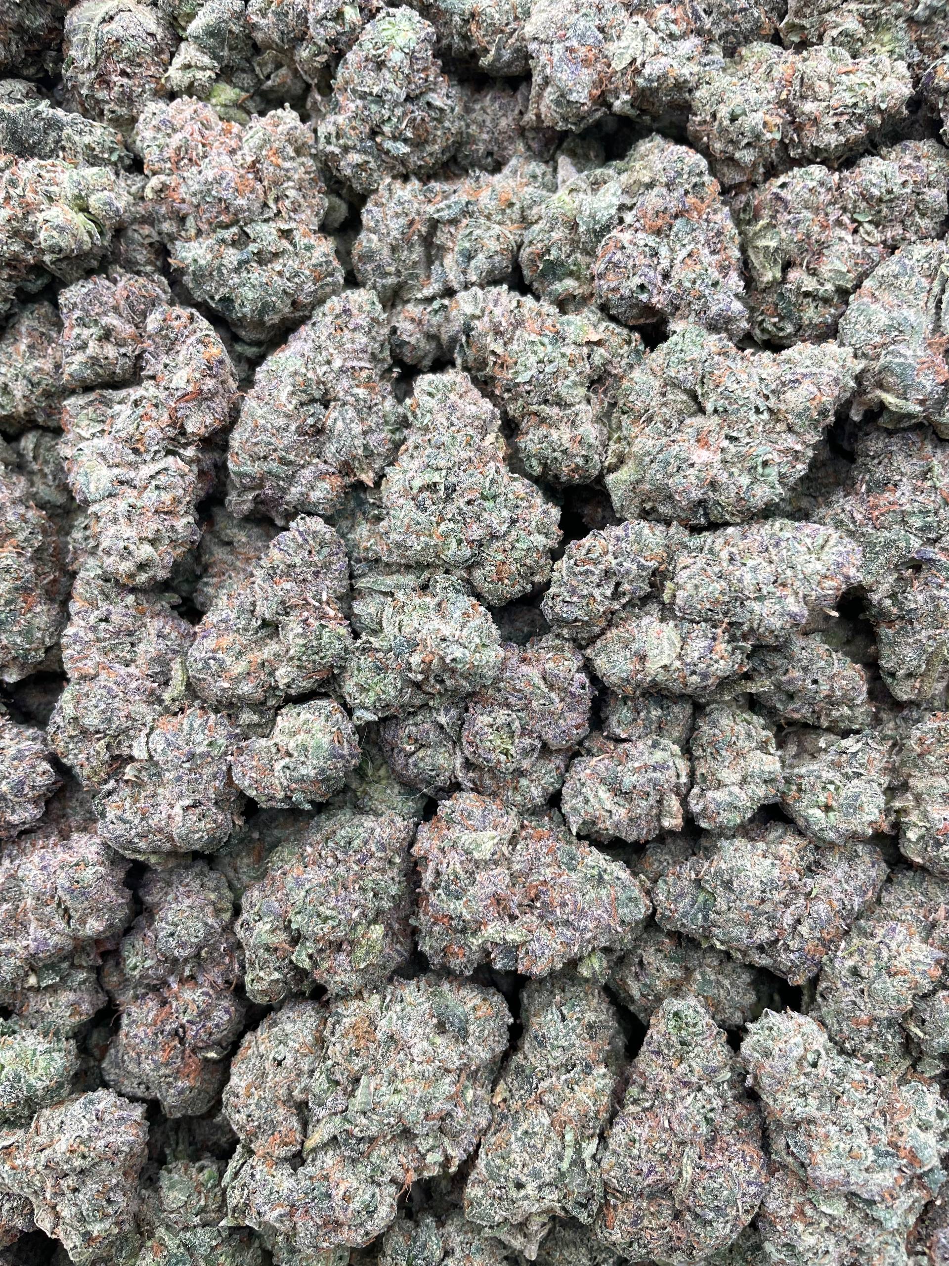 #PF8C 🍋 Lemon Cherry Blizzard 🥶