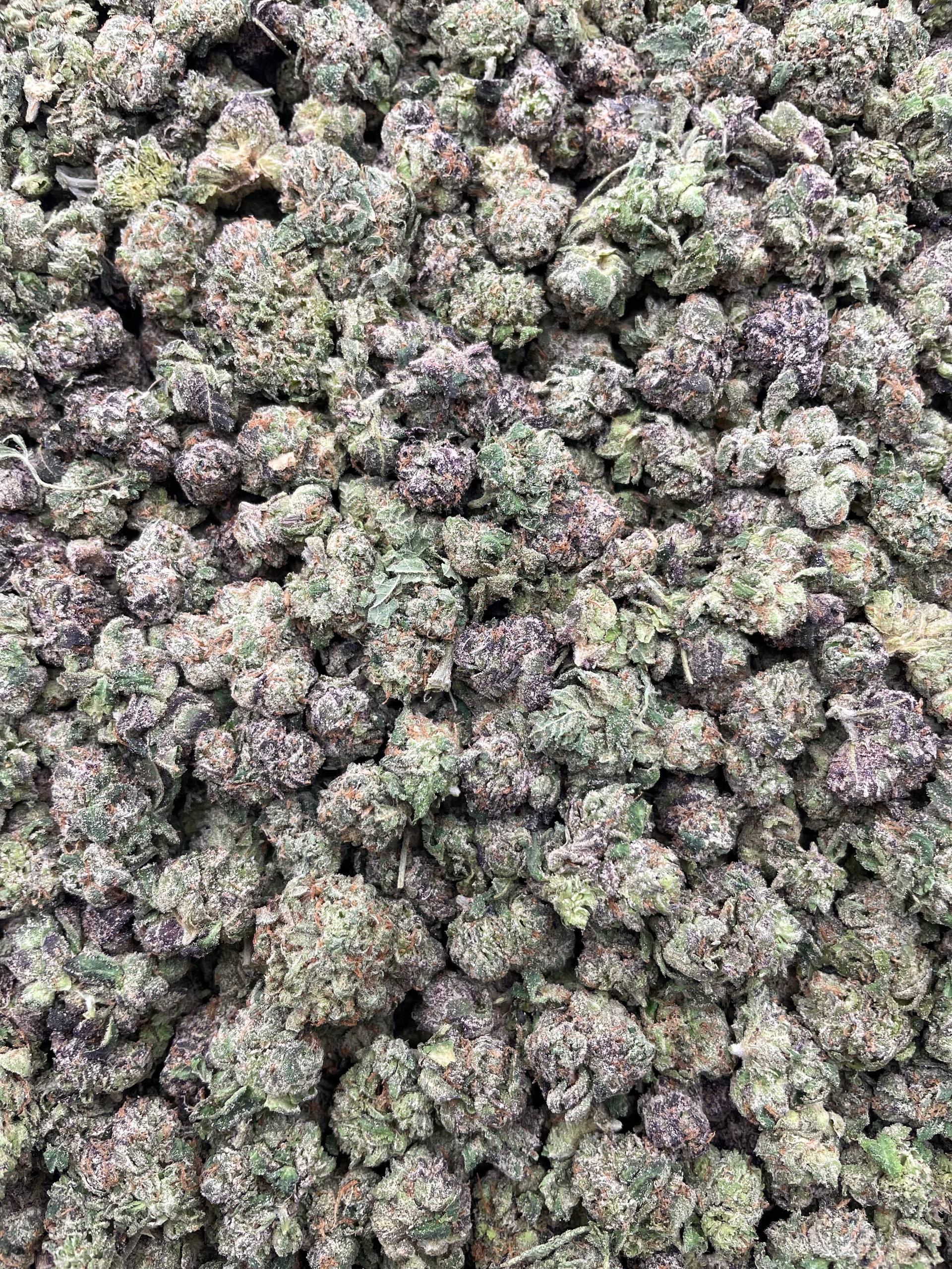 #PG8C 🎈 Cherry Airheads Shmedium 🍒